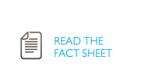 Read a fact sheet